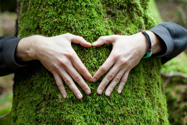 hands-shape-heart-tree-1