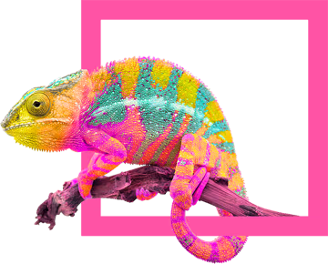 Corsto chameleon motif